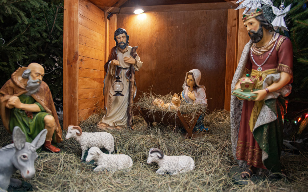 WESOŁYCH SWIĄT !!!