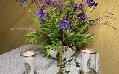 HARMONOGRAM ŚWIĘCENIA PÓL 2025R.