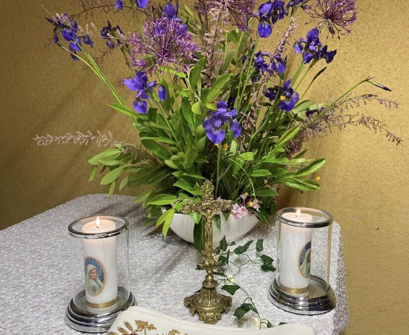 HARMONOGRAM ŚWIĘCENIA PÓL 2025R.